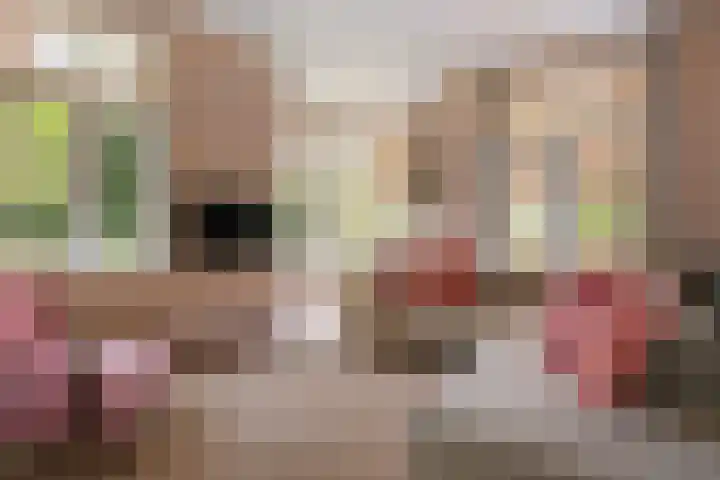 Jan Steenlaan 8 Bilthoven thumbnail 17