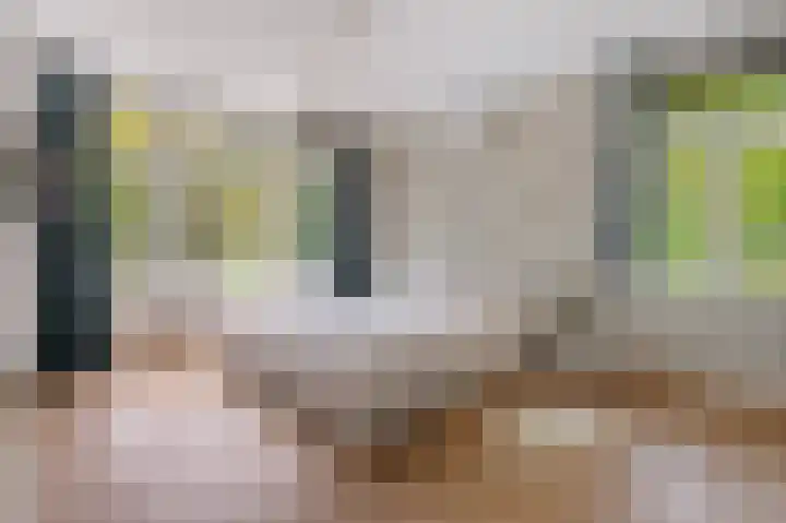 Jan Steenlaan 8 Bilthoven thumbnail 23