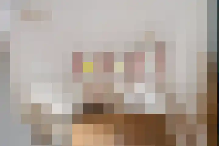Jan Steenlaan 8 Bilthoven thumbnail 33