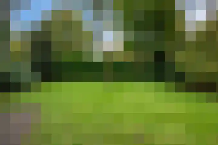 Jan Steenlaan 8 Bilthoven thumbnail 36