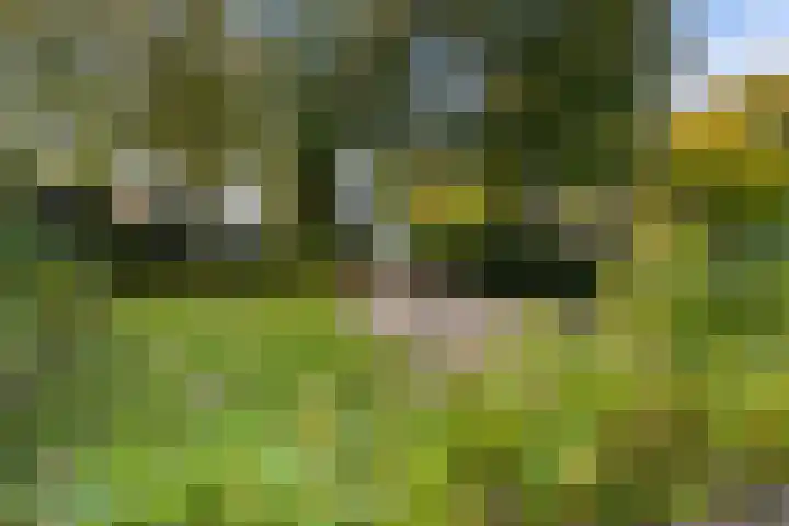 Jan Steenlaan 8 Bilthoven thumbnail 5