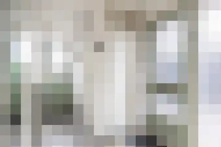 Jan Steenlaan 95 Ede thumbnail 5