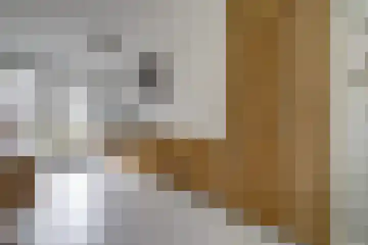 Jan Steenlaan 97 Ede thumbnail 13