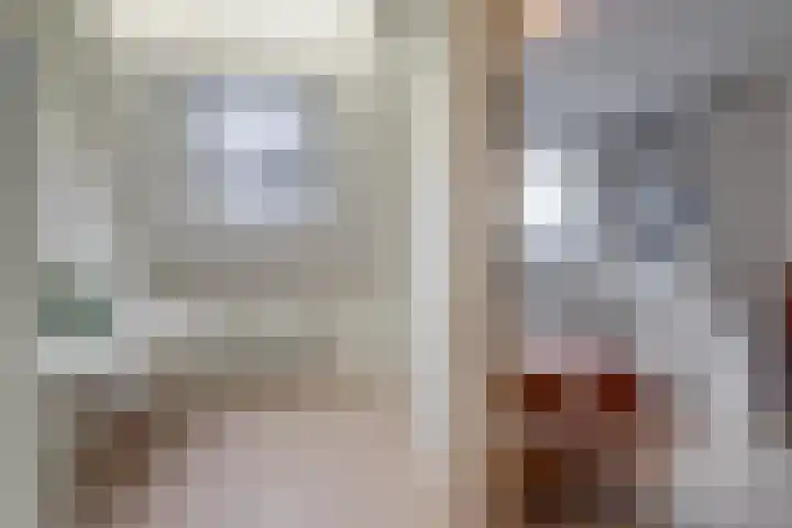 Jan Steenlaan 97 Ede thumbnail 17