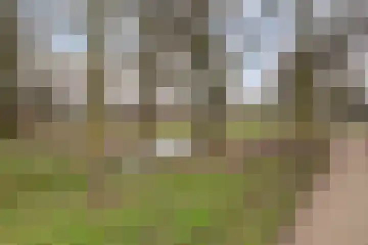 Jan Steenlaan 97 Ede thumbnail 33