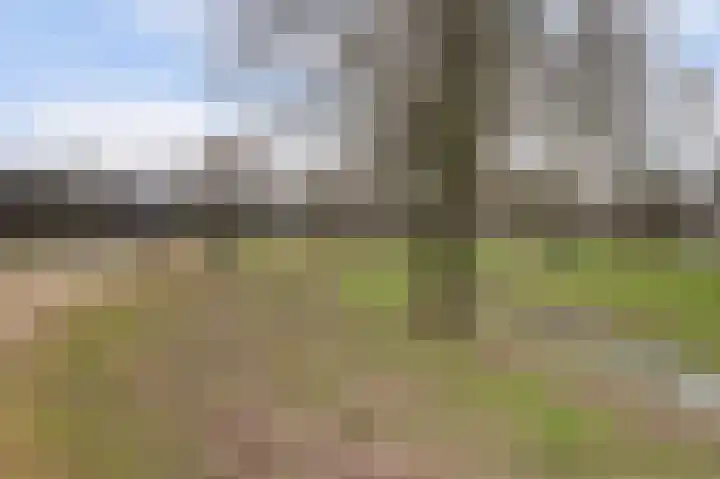 Jan Steenlaan 97 Ede thumbnail 36
