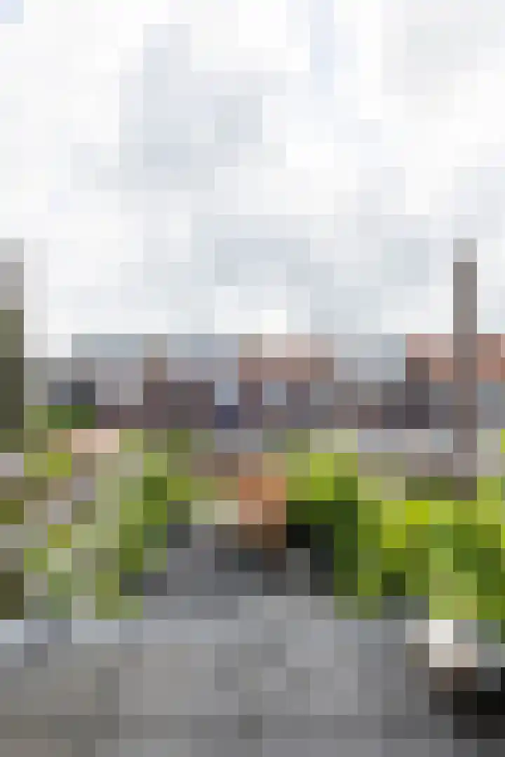 Jan Steenstraat 1 Leeuwarden thumbnail 33