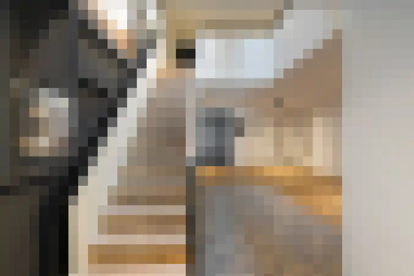 Jan Steenstraat 1 P Alkmaar thumbnail 8