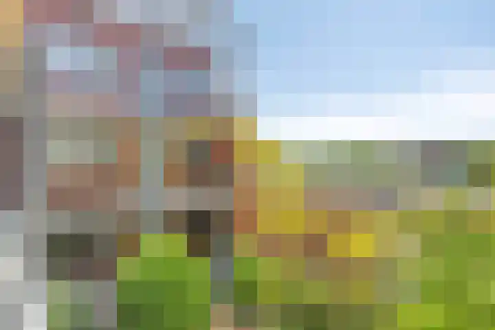 Jan Steenstraat 10 f Ridderkerk thumbnail 4