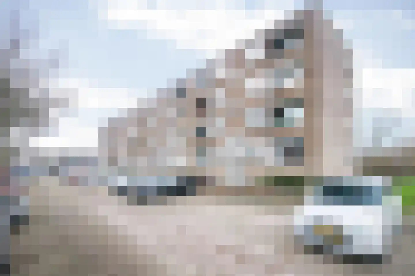 Jan Steenstraat 11 C Spijkenisse thumbnail 33