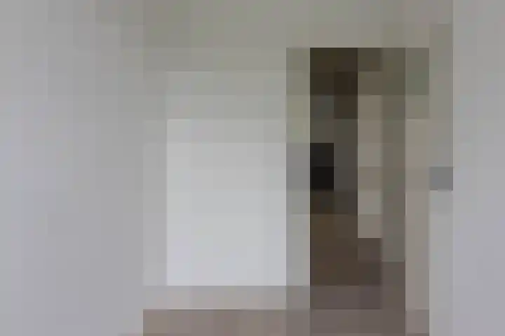 Jan Steenstraat 11 Spijkenisse thumbnail 18