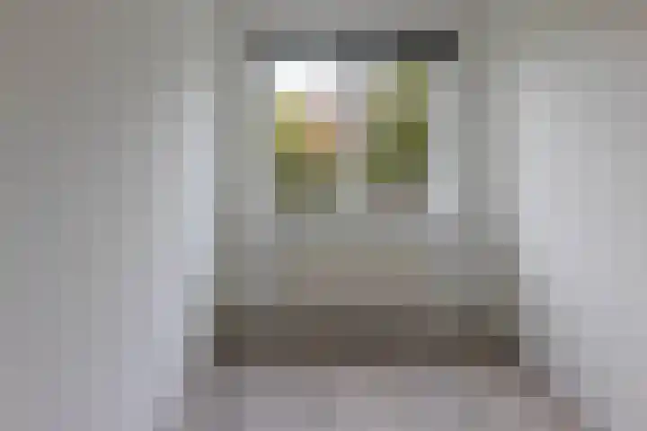 Jan Steenstraat 11 Spijkenisse thumbnail 19