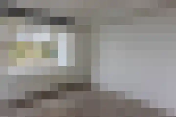 Jan Steenstraat 11 Spijkenisse thumbnail 4