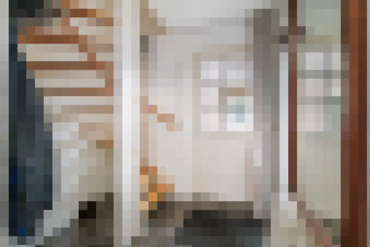 Jan Steenstraat 13 Deventer thumbnail 16