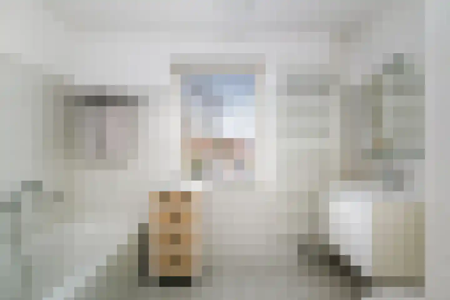 Jan Steenstraat 13 Deventer thumbnail 22