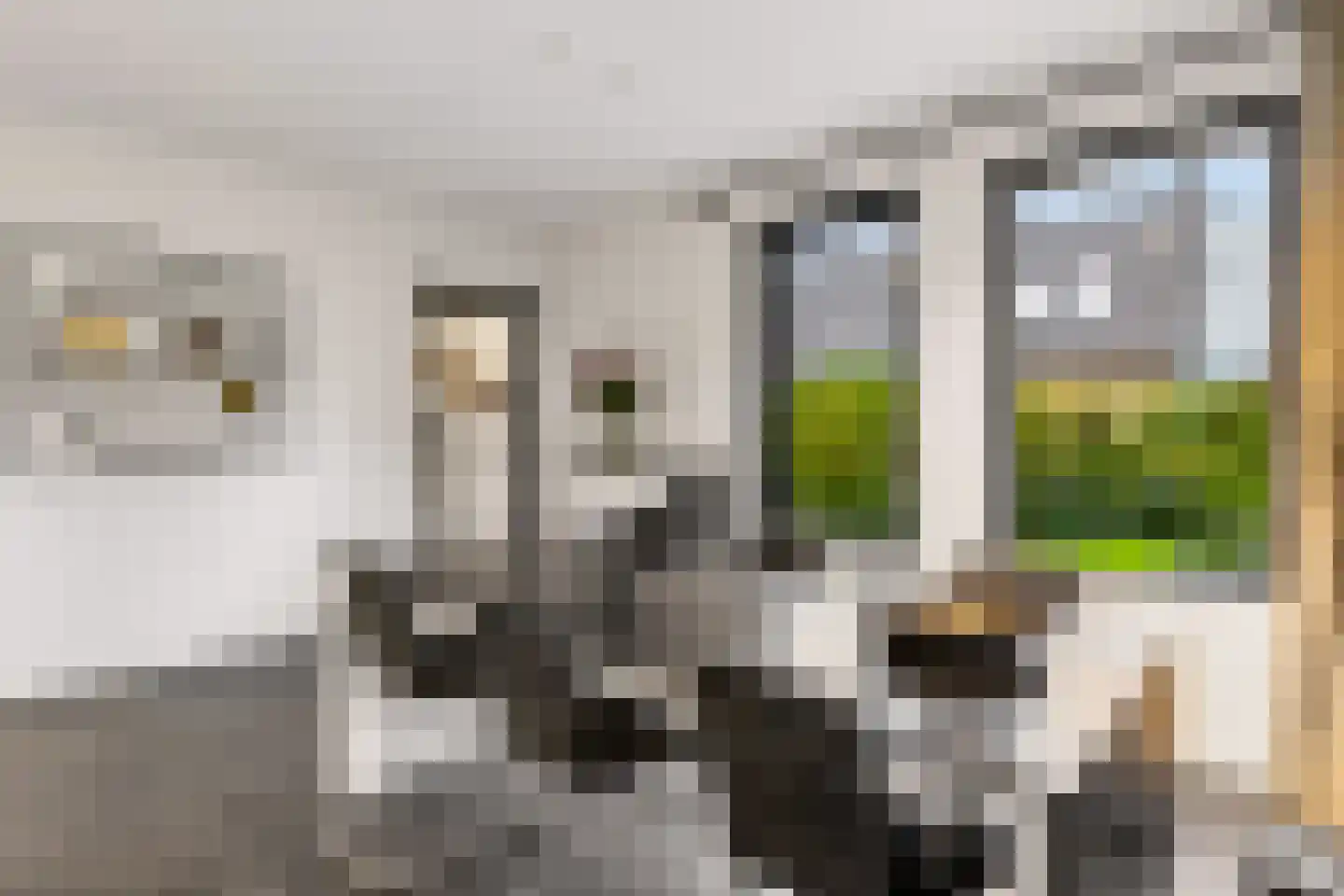 Jan Steenstraat 13 Groenlo thumbnail 15