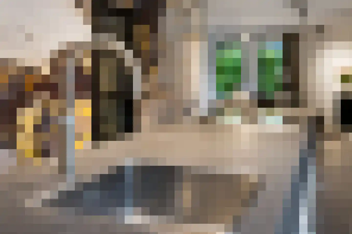 Jan Steenstraat 13 Groenlo thumbnail 22