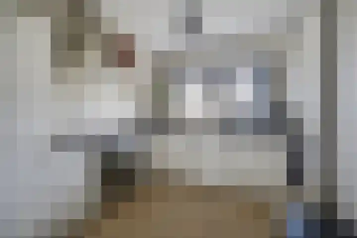 Jan Steenstraat 13 Rijnsburg thumbnail 9