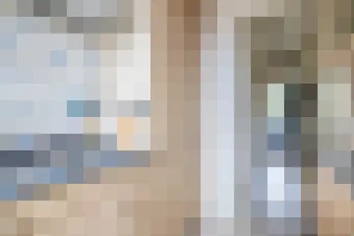 Jan Steenstraat 13 Spijkenisse thumbnail 17