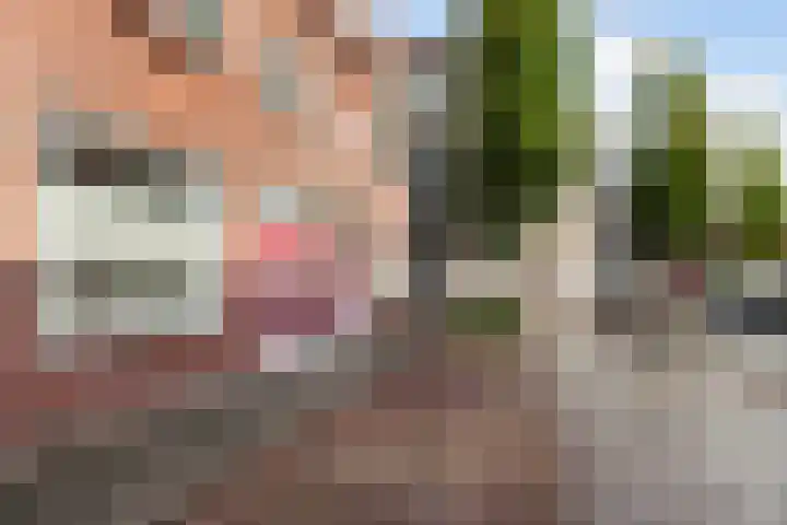 Jan Steenstraat 13 Vlaardingen thumbnail 6