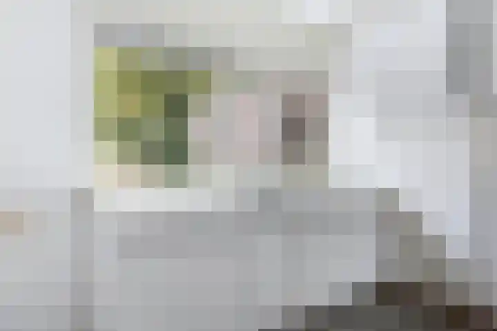 Jan Steenstraat 132 Meppel thumbnail 11