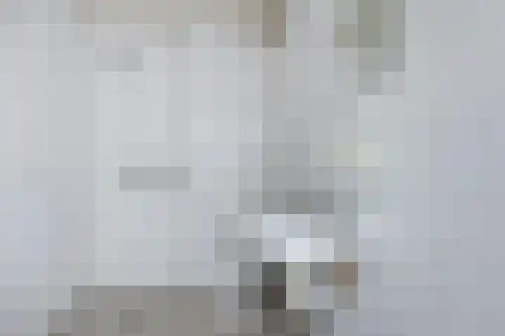 Jan Steenstraat 132 Meppel thumbnail 13