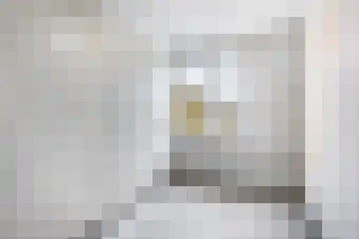 Jan Steenstraat 132 Meppel thumbnail 18