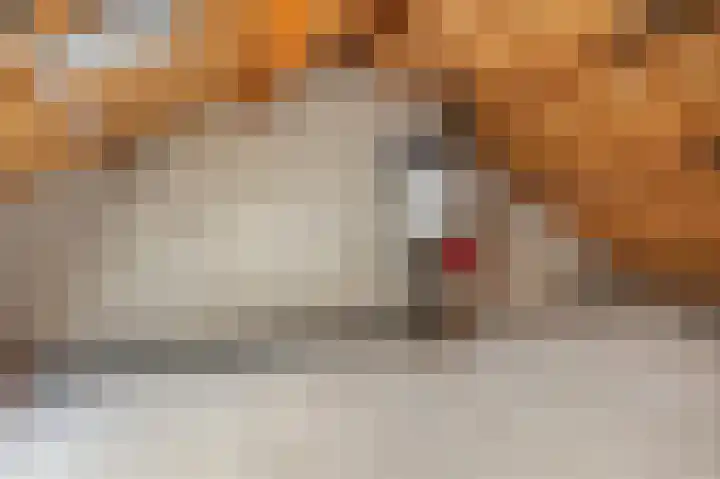 Jan Steenstraat 132 Meppel thumbnail 19