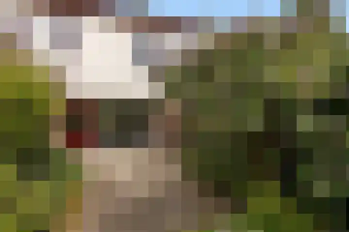 Jan Steenstraat 132 Meppel thumbnail 5