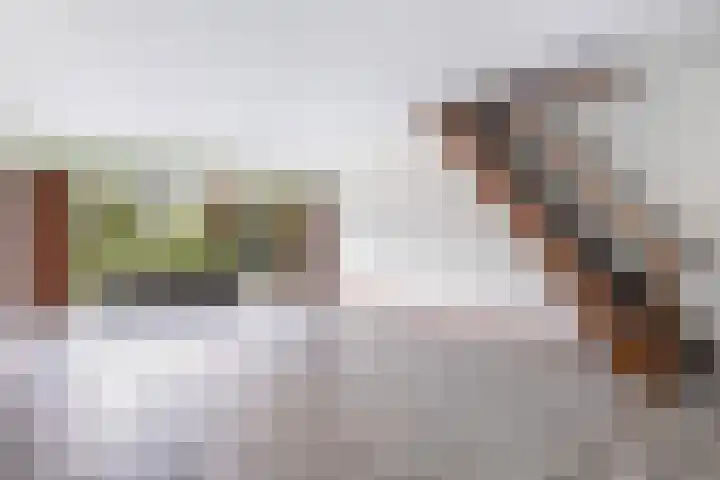 Jan Steenstraat 132 Meppel thumbnail 8