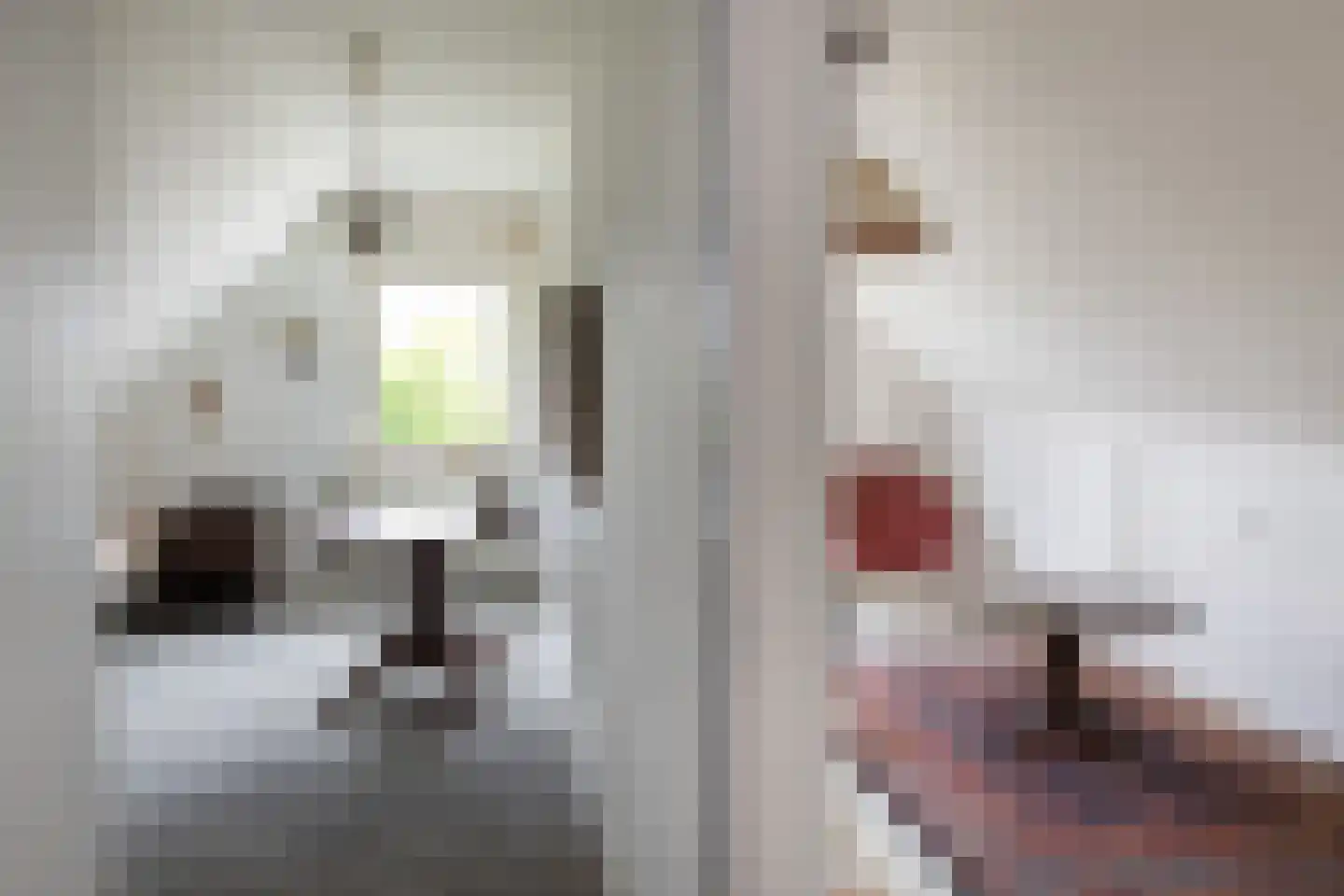 Jan Steenstraat 15 Groenlo thumbnail 23