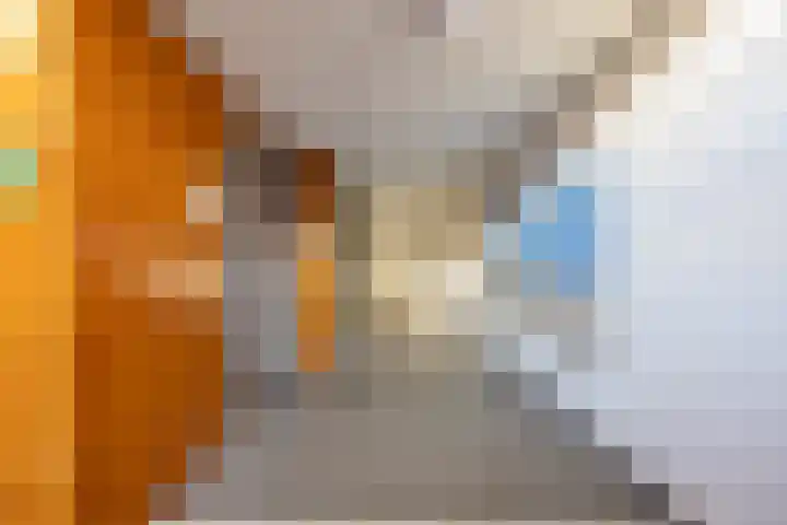 Jan Steenstraat 15 Groningen thumbnail 17
