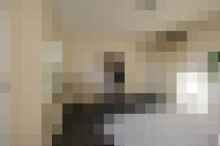 Jan Steenstraat 15 Groningen thumbnail 29
