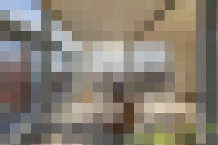 Jan Steenstraat 15 Groningen thumbnail 43