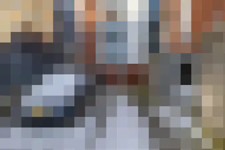 Jan Steenstraat 15 Groningen thumbnail 60