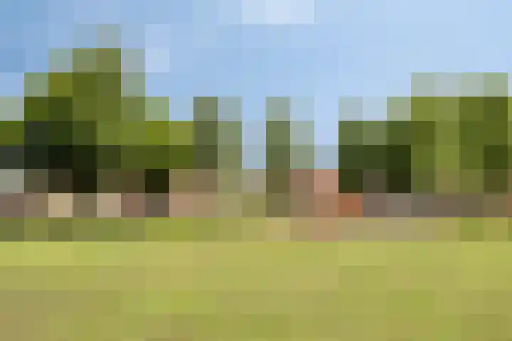 Jan Steenstraat 15 Heesch thumbnail 32