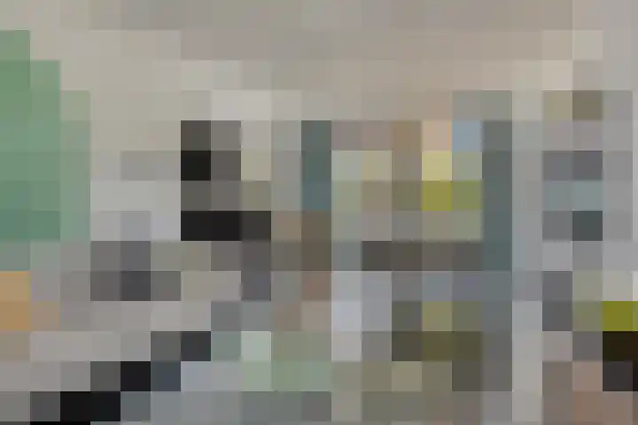 Jan Steenstraat 15 Heesch thumbnail 5