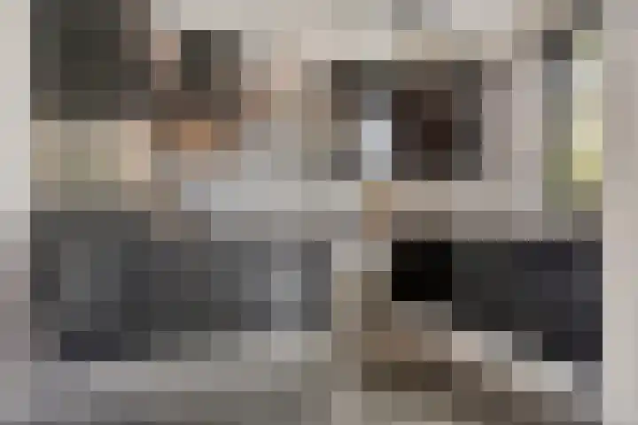 Jan Steenstraat 15 Heesch thumbnail 8