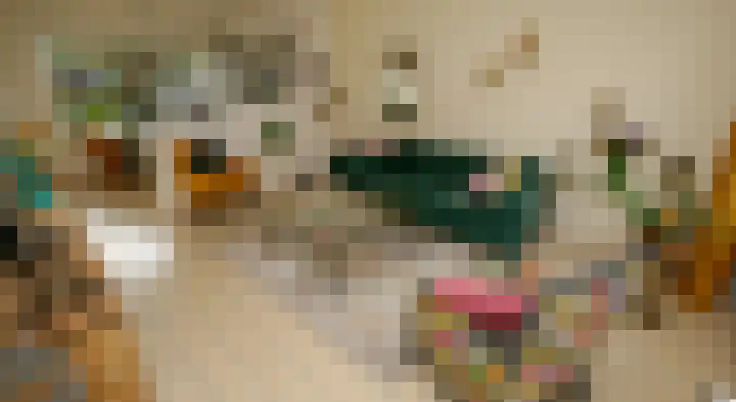 Jan Steenstraat 15 Sliedrecht thumbnail 4