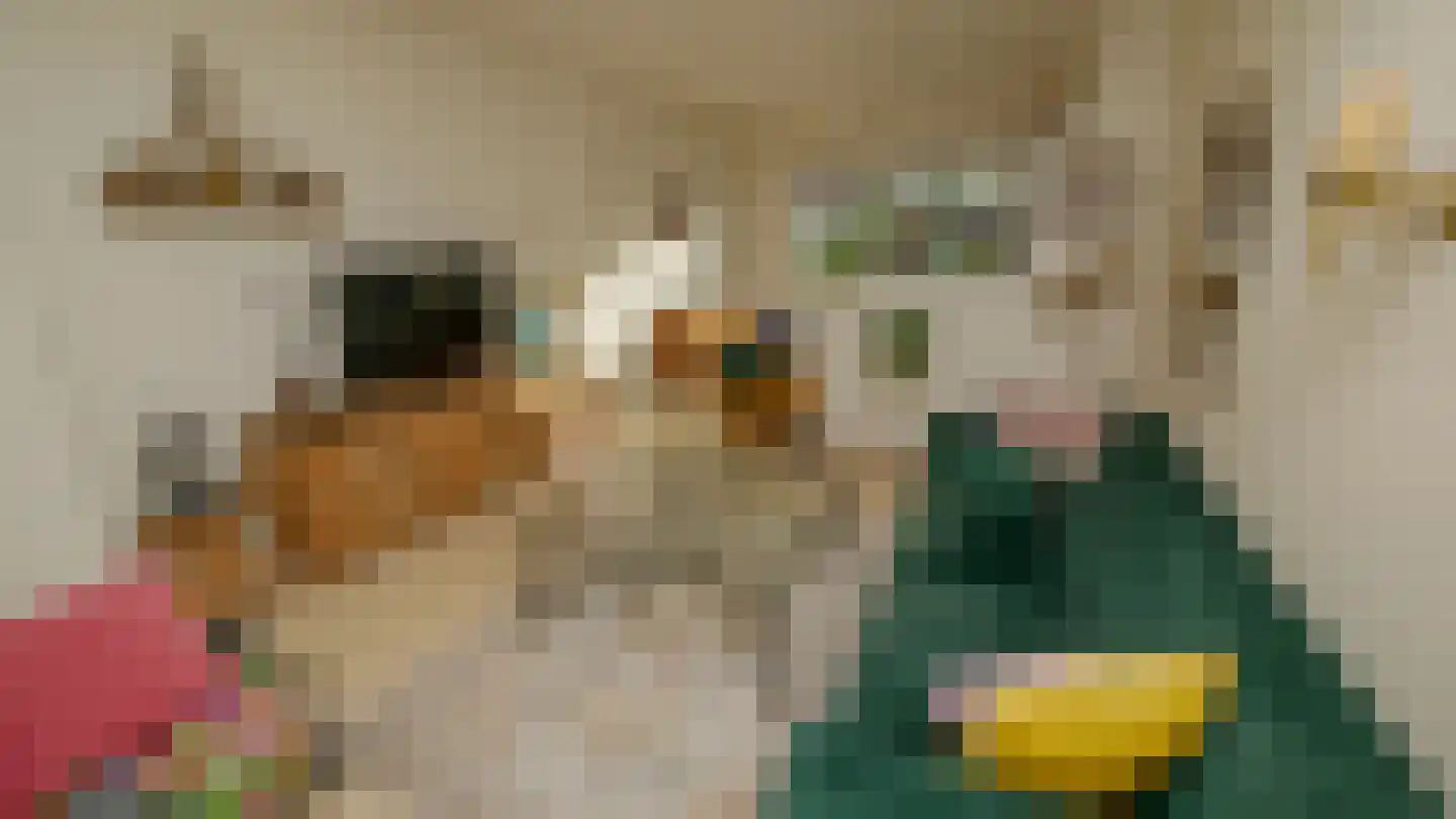Jan Steenstraat 15 Sliedrecht thumbnail 5