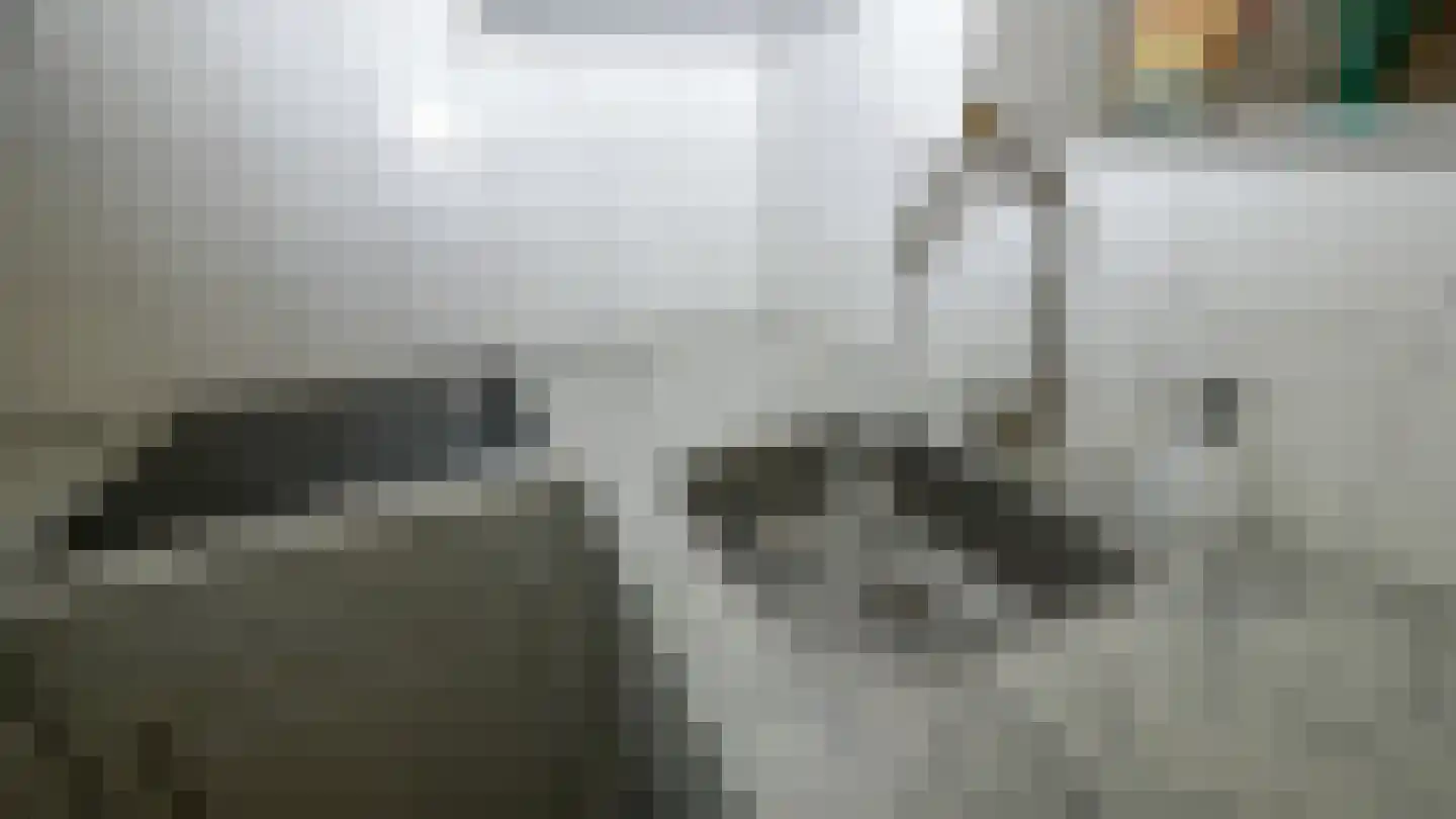 Jan Steenstraat 15 Sliedrecht thumbnail 8