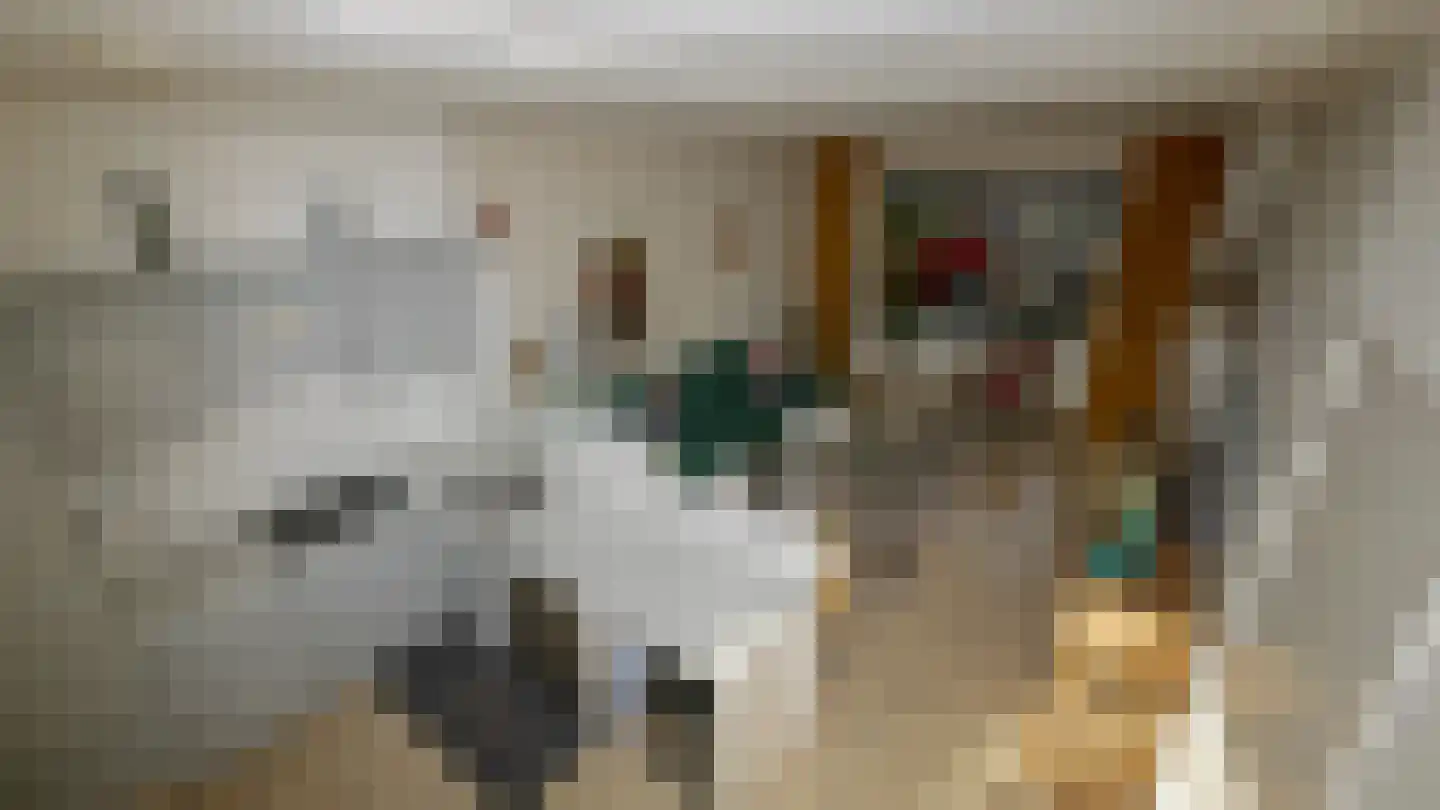 Jan Steenstraat 15 Sliedrecht thumbnail 9