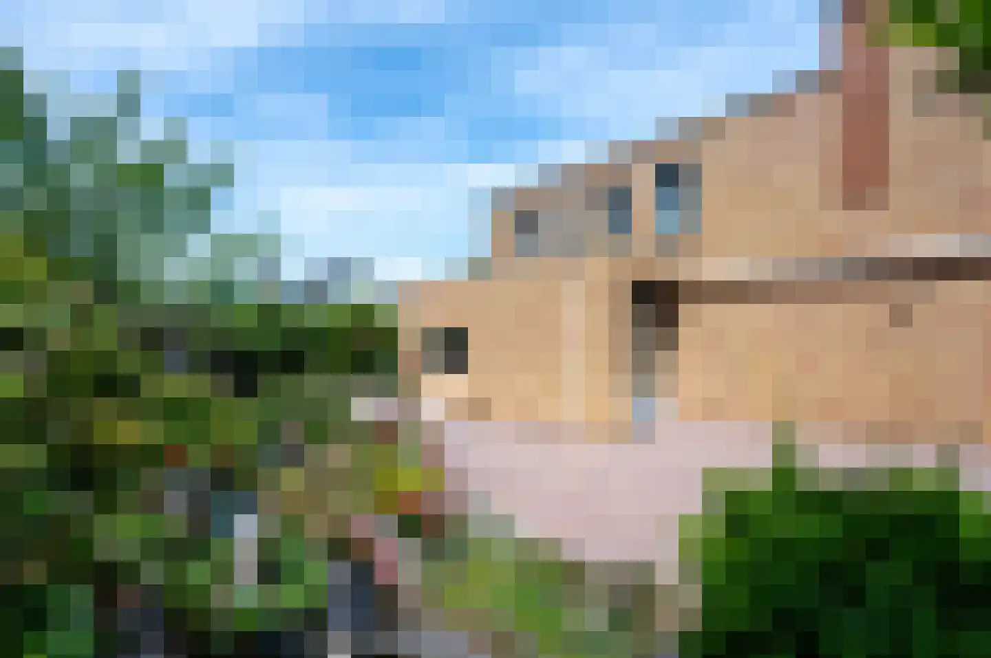 Jan Steenstraat 159 Almere thumbnail 29