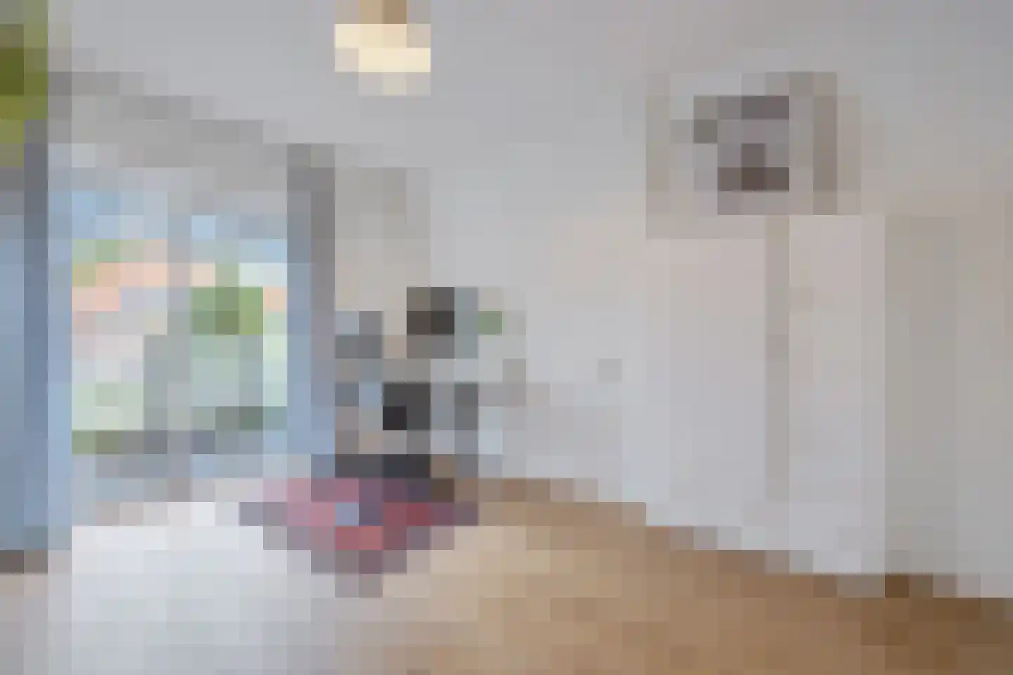 Jan Steenstraat 16 Zaandam thumbnail 20