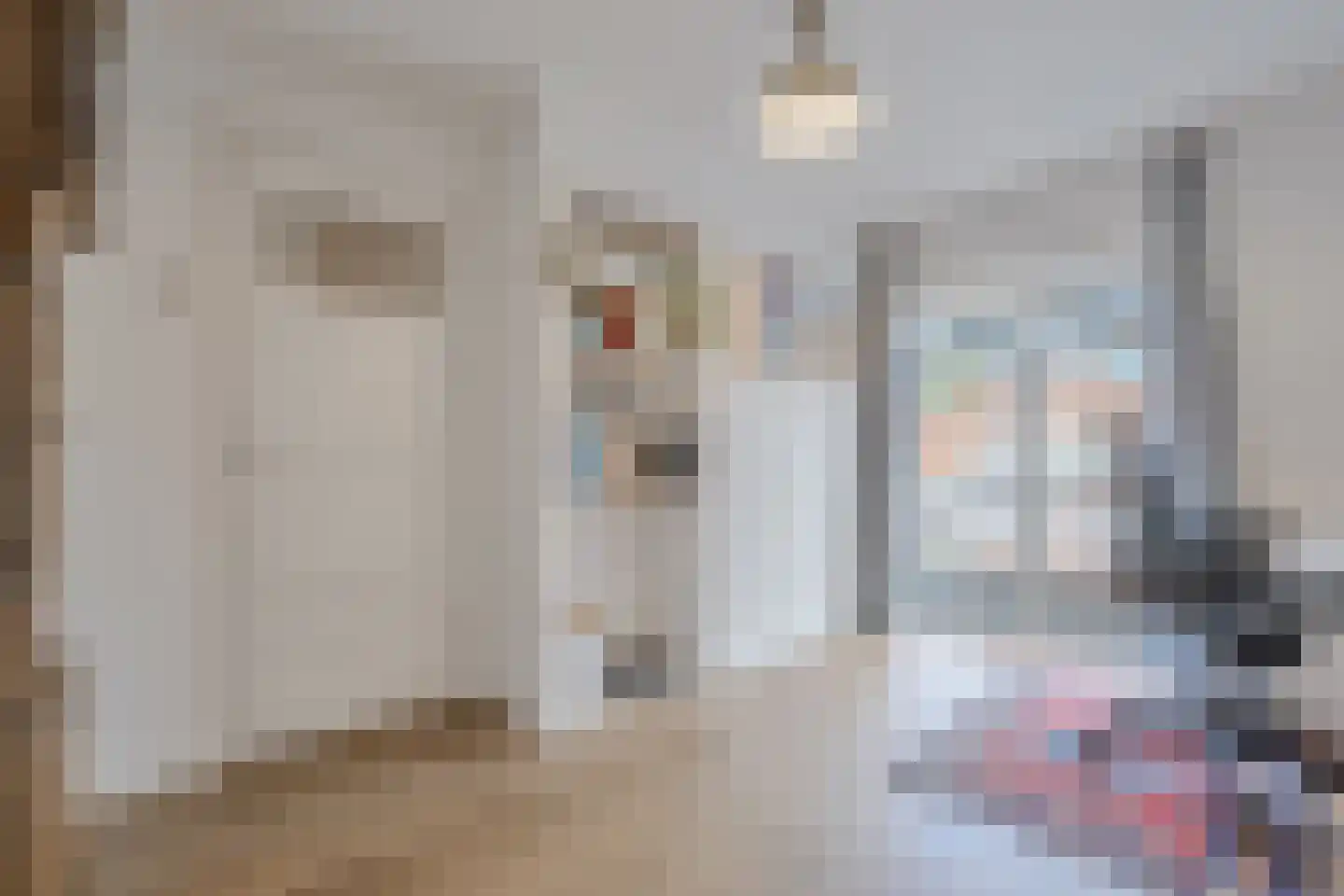 Jan Steenstraat 16 Zaandam thumbnail 21