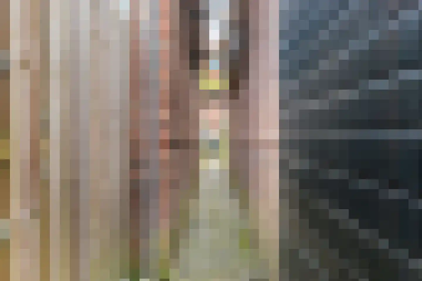 Jan Steenstraat 16 Zaandam thumbnail 32