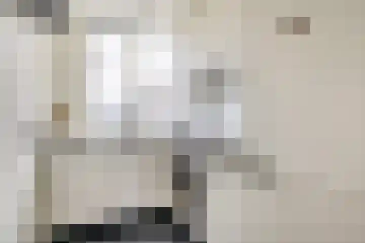 Jan Steenstraat 17 Spijkenisse thumbnail 4