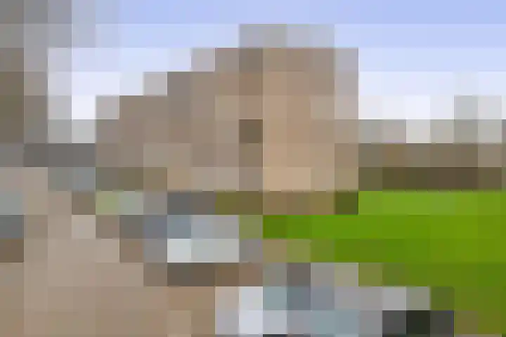 Jan Steenstraat 17 Spijkenisse thumbnail 7