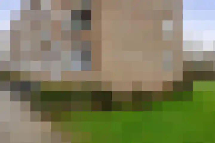 Jan Steenstraat 17 Spijkenisse thumbnail 8
