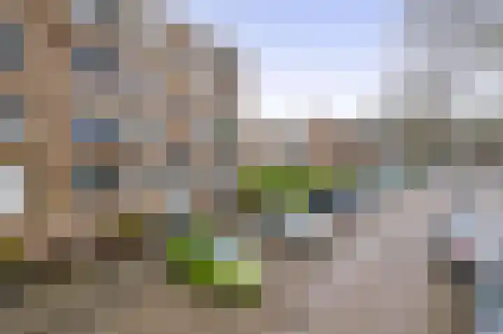 Jan Steenstraat 17 Spijkenisse thumbnail 9